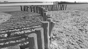 playa_camino